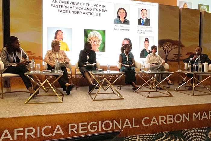 Carbon Market Dialogue